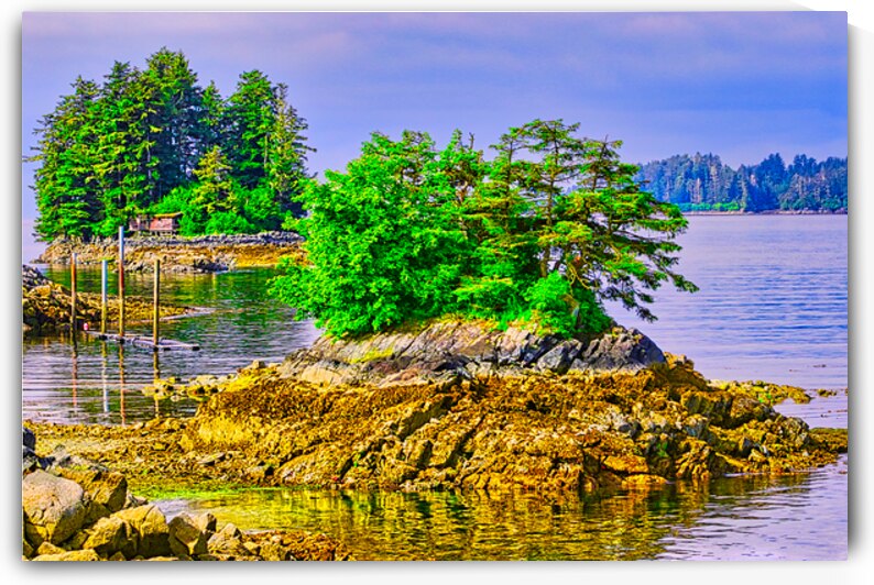 BEARING SEA  by Charles Herchert