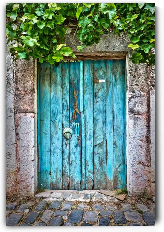 Old blue door with vine by DELPHIMAGES