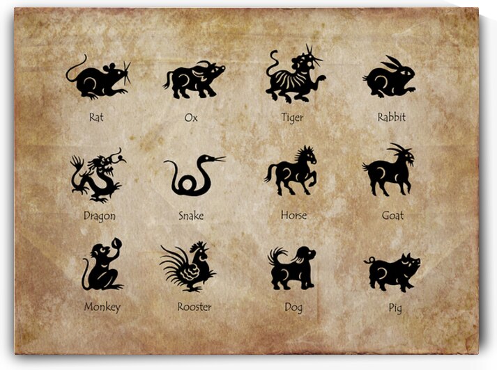 Animals of the Chinese zodiac by DELPHIMAGES