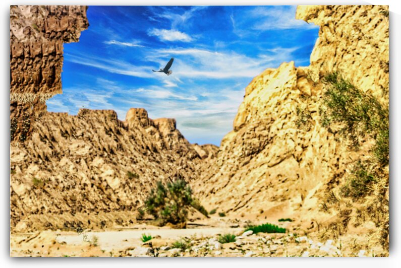 DESERT CLIFFS  by Charles Herchert