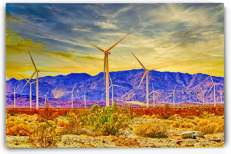 DESERT WINDMILLS  by Charles Herchert