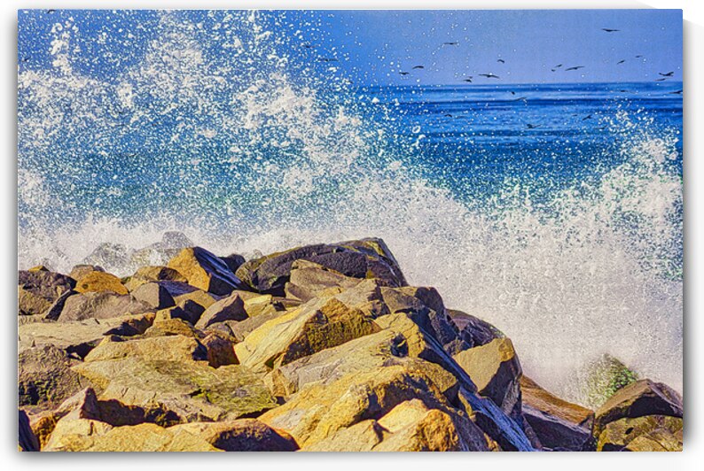 EXPLOSIVE NATURE  by Charles Herchert