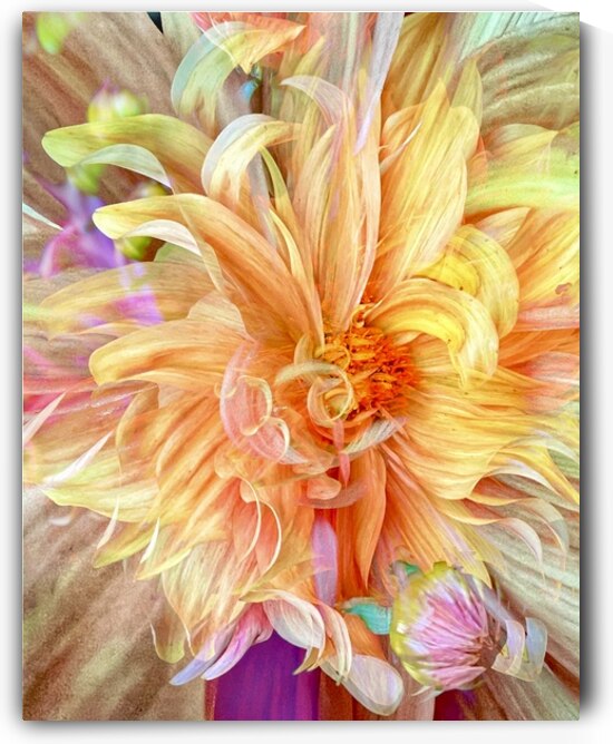 I Am Gorgeous by Brigitte Center