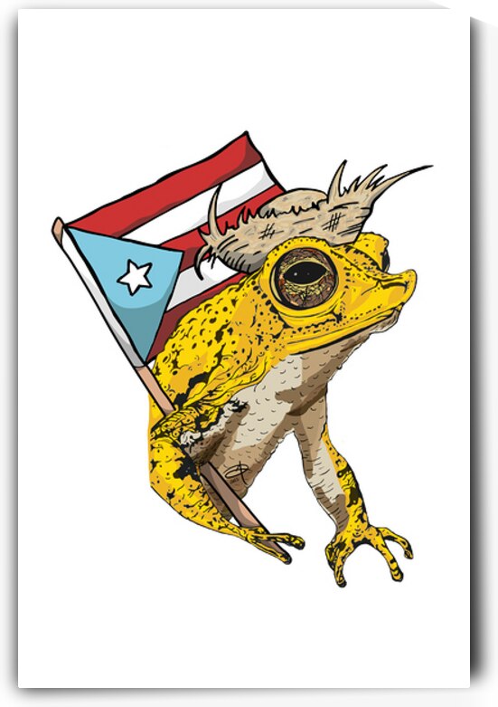 Sapo Concho Jibaro by Darlien Morales