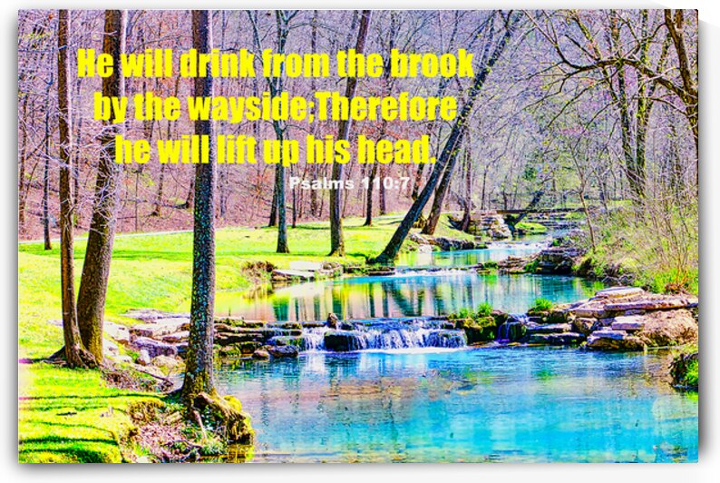 SPLASHING BROOK SCRIPTURE by Charles Herchert