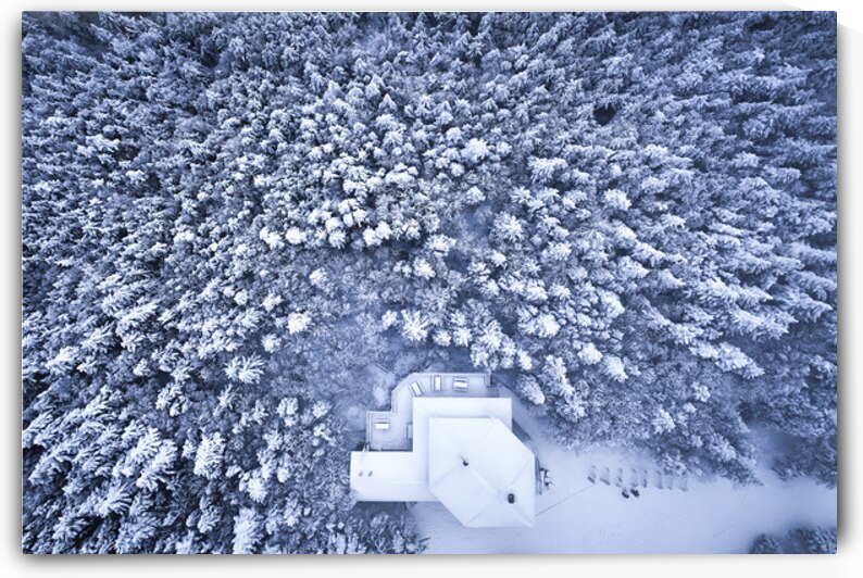 Winter Scenery  by Bernard Brault