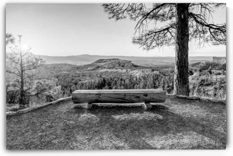 Sunrise Bench Glow Bryce Canyon Grayscale by Jennifer White