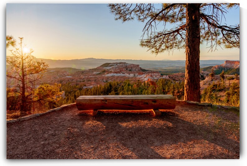Sunrise Bench Glow Bryce Canyon by Jennifer White