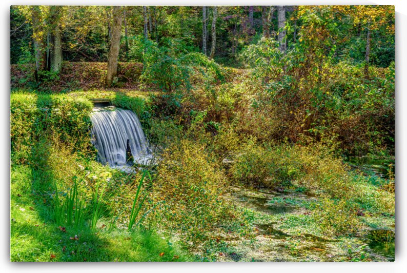 Ozarks Woodland Cascade by Jennifer White