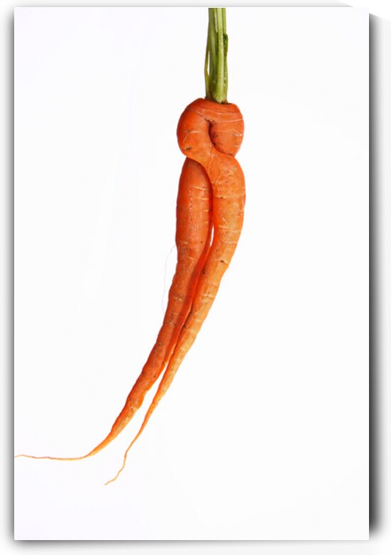 Dancing Carrot Wall Art by Bo Insogna