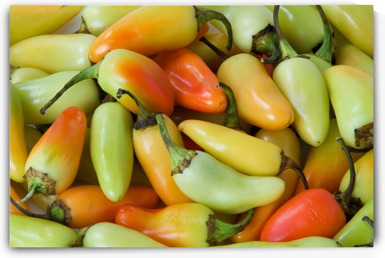 A Fiery Mix of Colorful Peppers by Bo Insogna