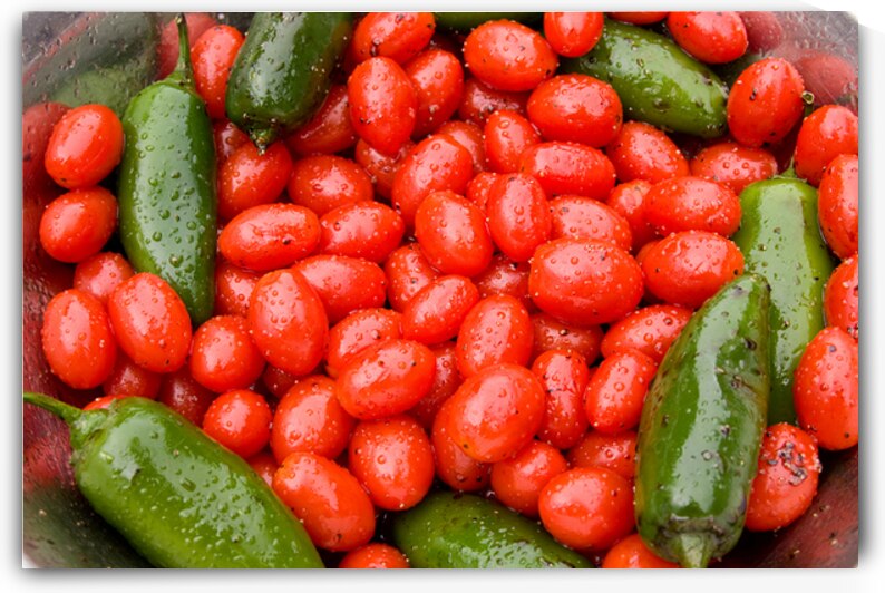 Gardens Embrace A Ruby and Emerald Harmony by Bo Insogna