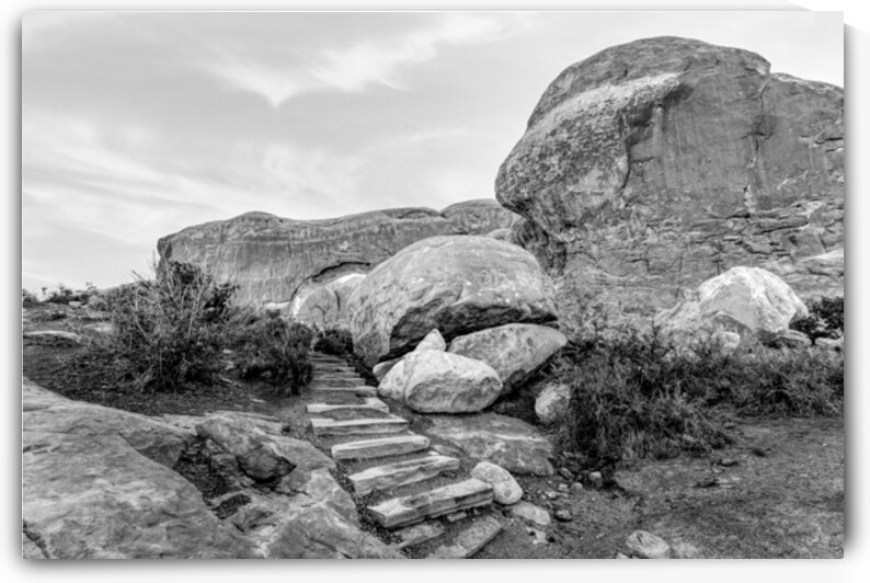 Pathway To Glow Through South Window Grayscale by Jennifer White