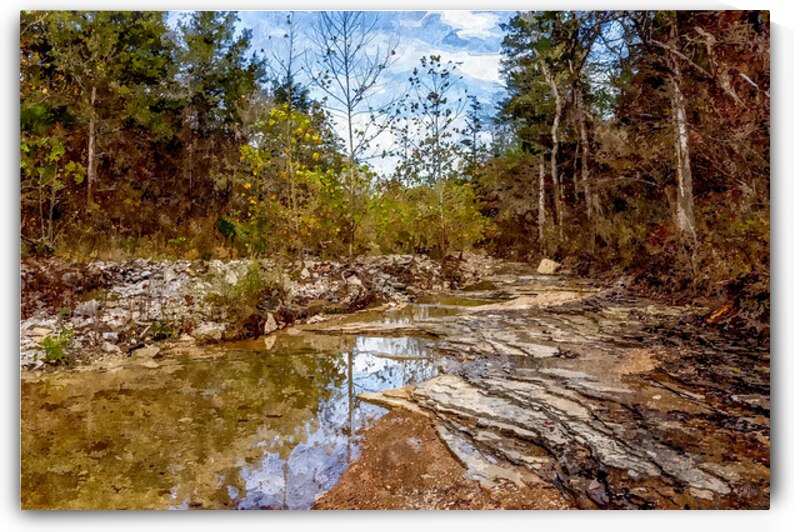 Reflections Of Fall Roark Creek Painterly by Jennifer White