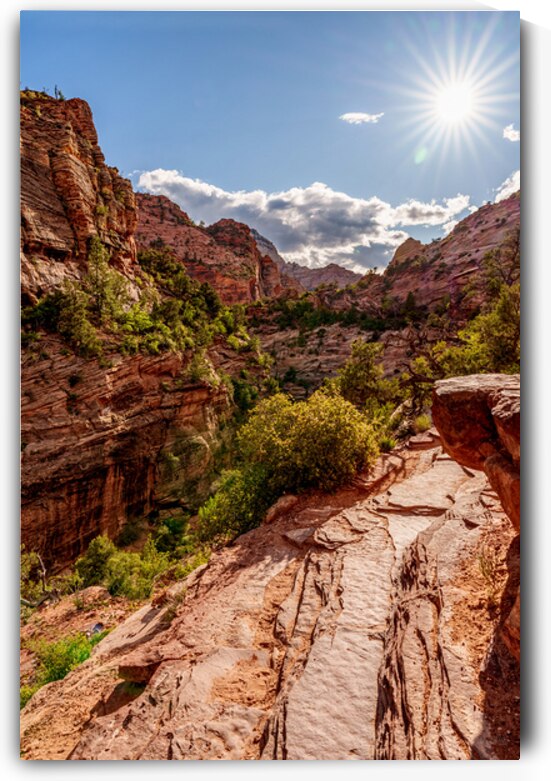 Sunburst Over Zion Canyon Vertical by Jennifer White