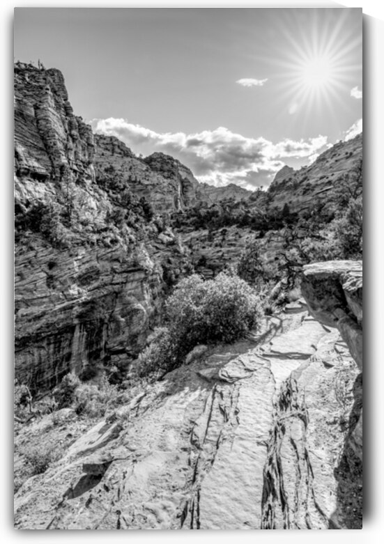 Sunburst Over Zion Canyon Vertical Grayscale by Jennifer White