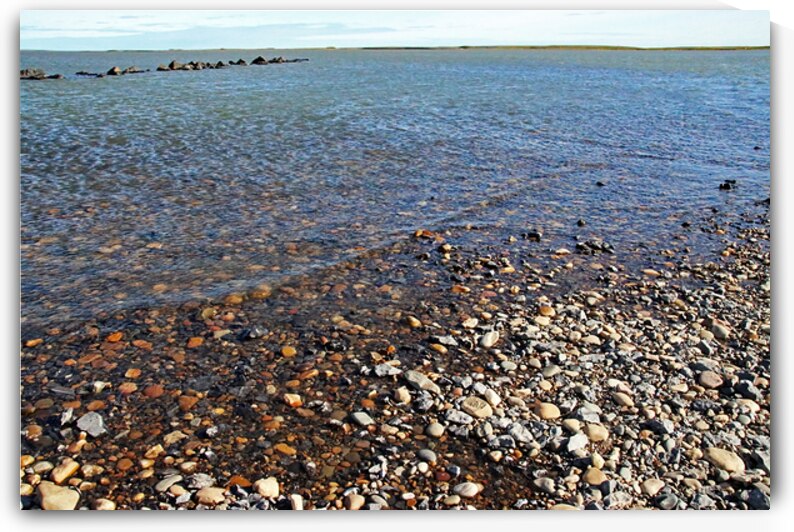 Arctic Ocean  Beaufort Sea by Deb Oppermann