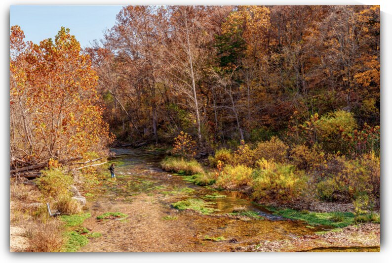 Woman Fishing Spring Creek In Fall by Jennifer White
