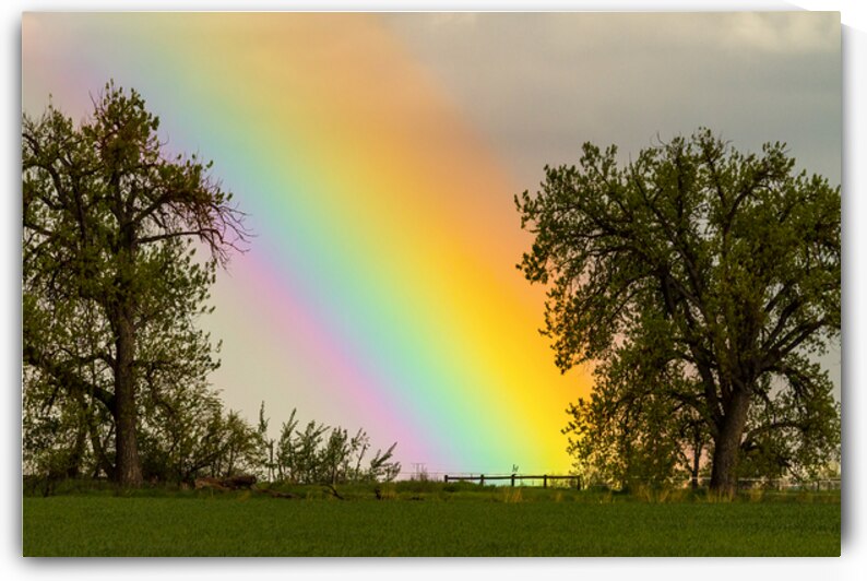 Where The Rainbow Meets The Earth by Bo Insogna