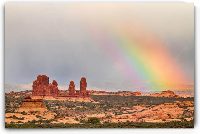 A Desert Rainbows Vibrant Display by Bo Insogna