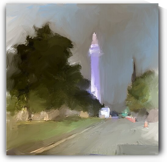 The Washington Monument  by Sarah Butcher