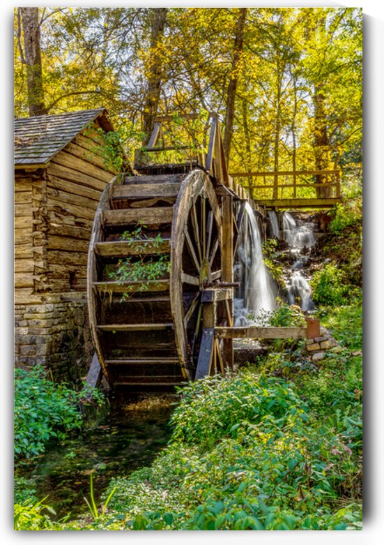 Reeds Spring Mill Water Wheel by Jennifer White