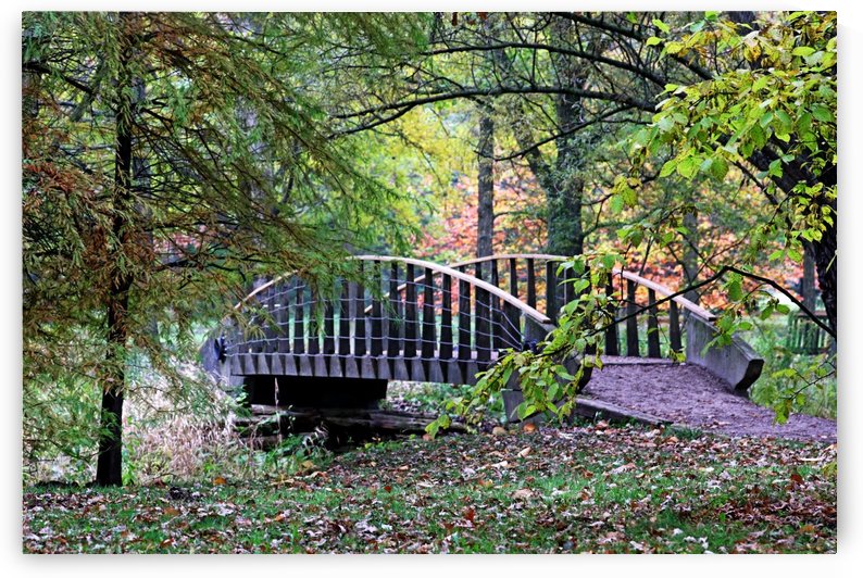 Quaint Bridge Over Creek by Deb Oppermann