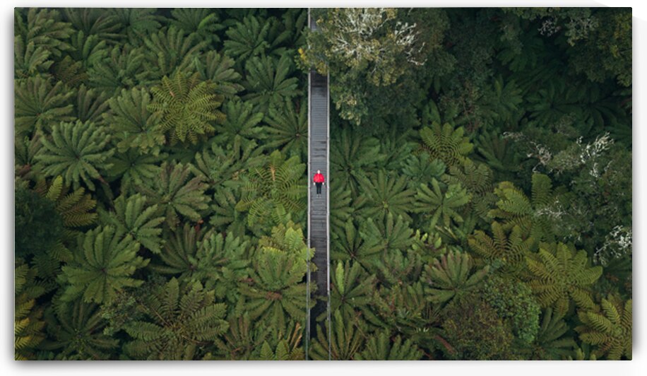 DJI 20230718170237 0042 D Edit by Auracity