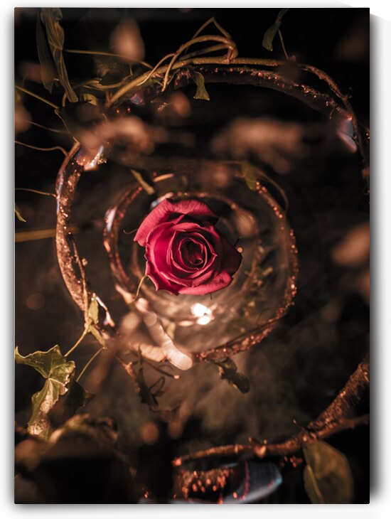 Burned Flower by Auracity