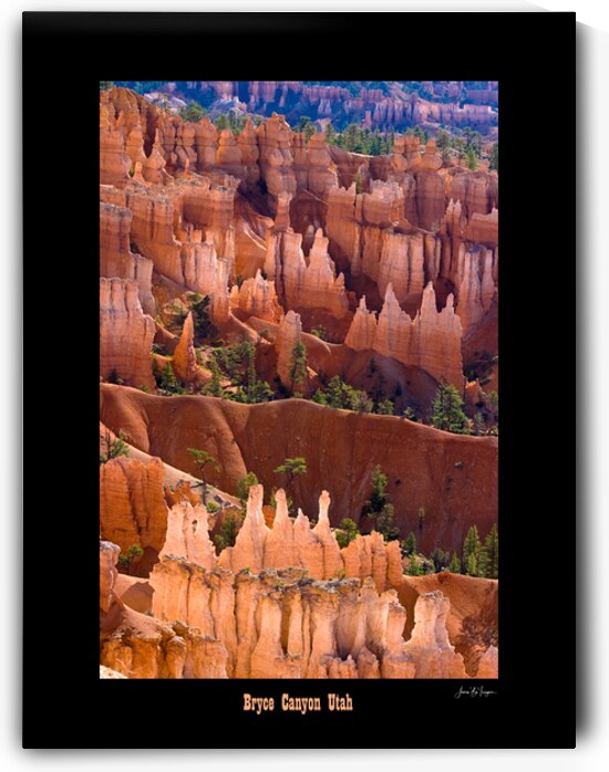 Bryce Canyon Utah Hoodoos Glowing in Desert Light by Bo Insogna