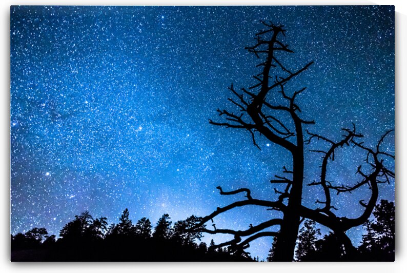 Starry Night at Bryce Canyon by Bo Insogna