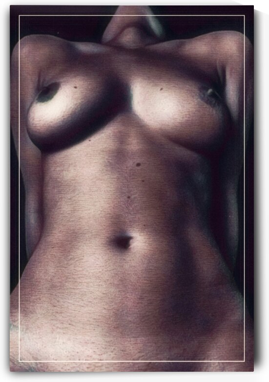 Presenting View by Millie R Lissow