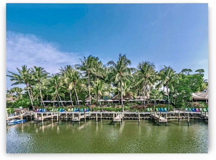 Guanabanas  by JANIce