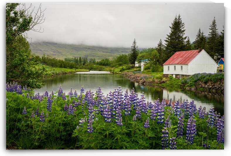Peaceful scene in Seydisfjordur of river flowing from misty moun by Steve Heap