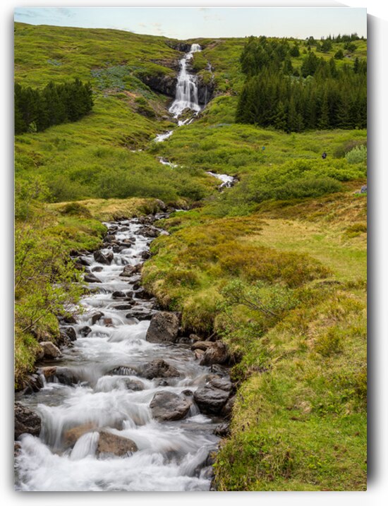 Waterfall in Tunhudalur valley near Isafjordur Iceland with lupi by Steve Heap