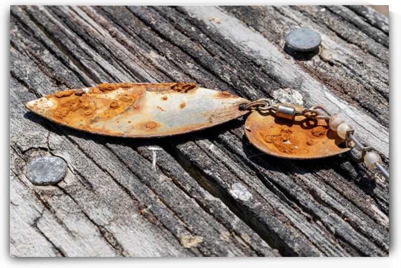 Rusty lure on wood rail by Lisa von Biela