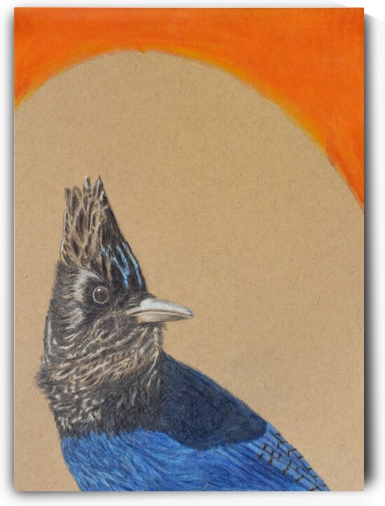 Blue Jay by Lisa von Biela