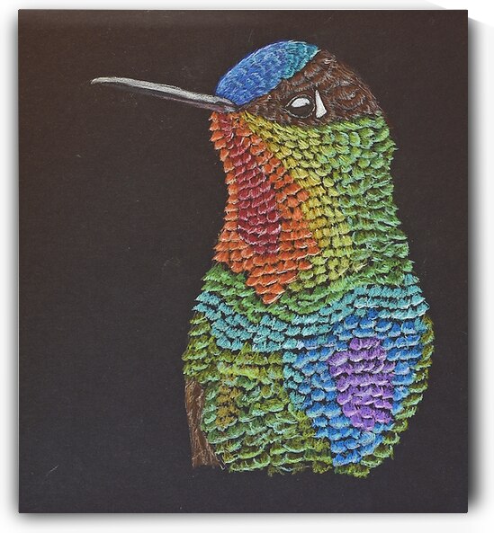 Fire throated hummingbird by Lisa von Biela