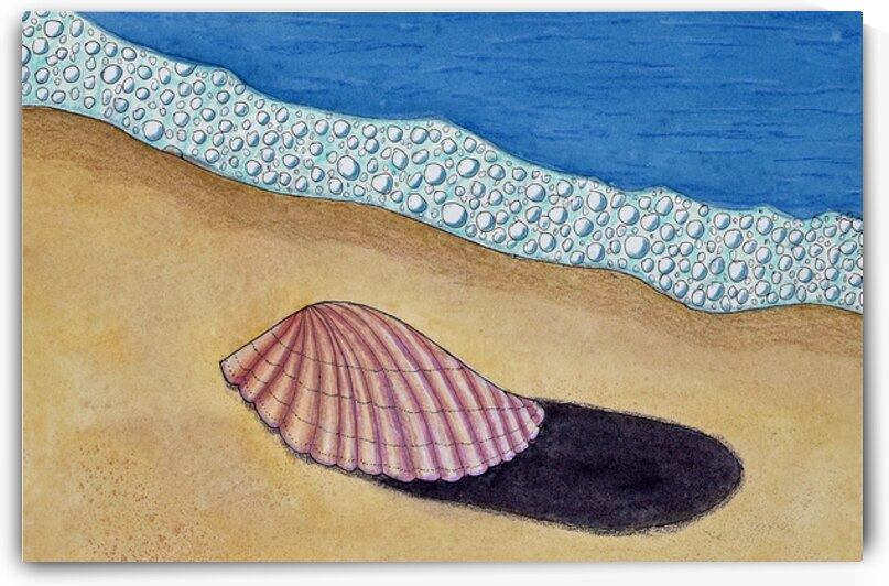 Seashell on Sand by Lisa von Biela