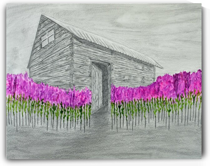 Abandoned house with fireweed by Lisa von Biela