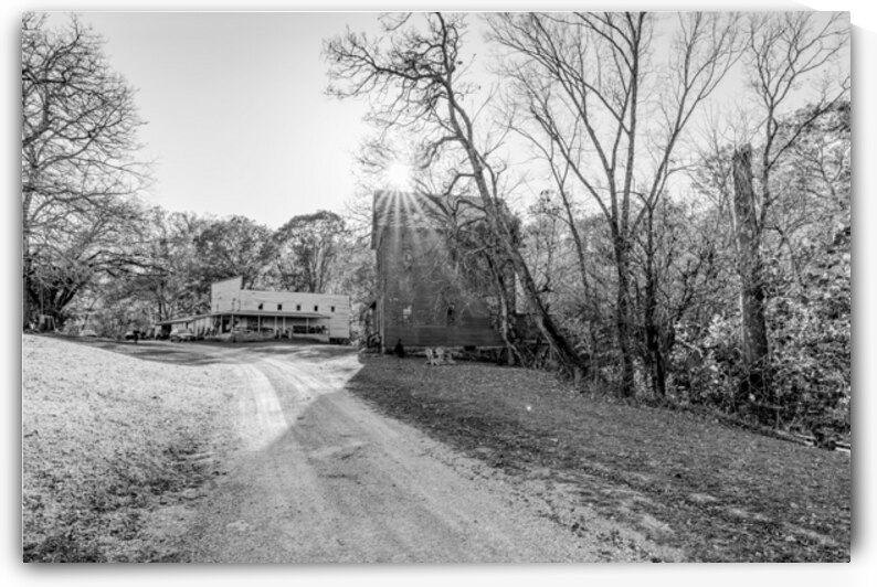 Driveway To Topaz Mill Grayscale by Jennifer White