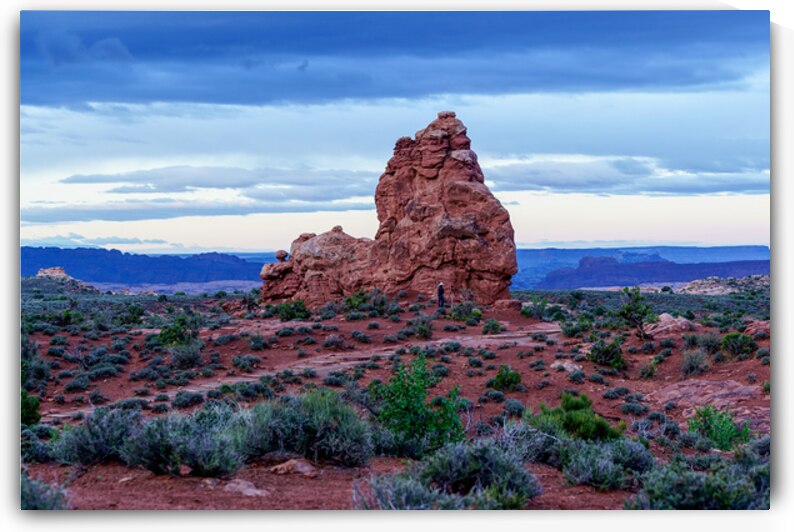 Photographer On Windows Primitive Loop by Jennifer White