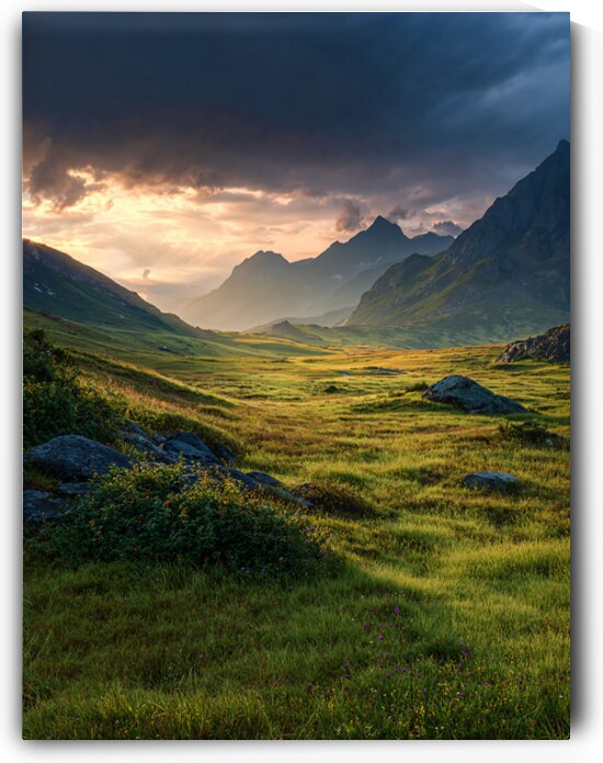 Mountain meadow sunrise 3 by Infinite Wall Art