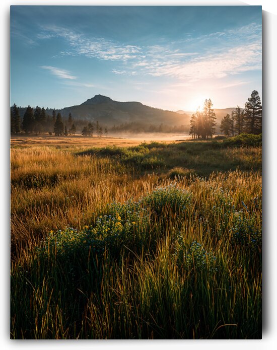 Mountain meadow sunrise 1 by Infinite Wall Art