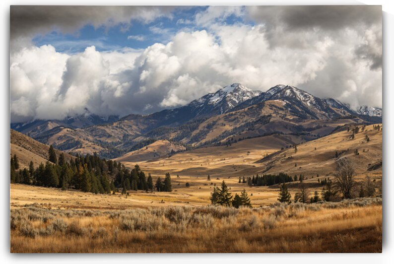 yellowstone autumn by Infinite Wall Art