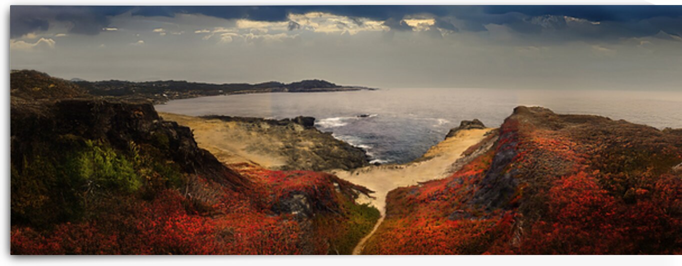 Path To The Shore In Mendocino by Frank Wilson