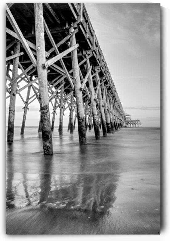 Beauty of Folly Beach by Jennifer White