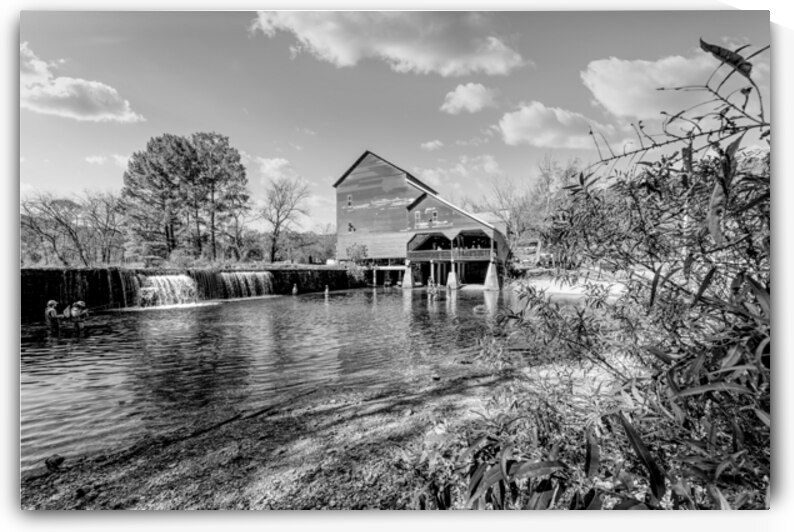 Framed By Nature Rockbridge Mill Grayscale by Jennifer White