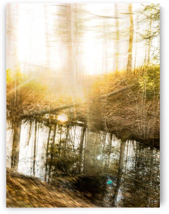 Streaming Light by Dave Therrien