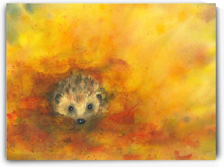 Hedgehog in autumn leaves  by Karen Kaspar
